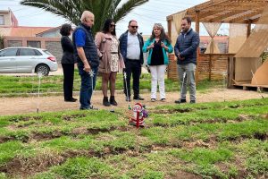 Instalan riego tecnificado subterráneo en plaza comunitaria de Los Vilos con el apoyo de Aguas del Valle