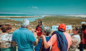 Actividades recreativas, familiares y educativas: el panorama que alistan en la Laguna Conchalí para el Día Mundial de los Humedales